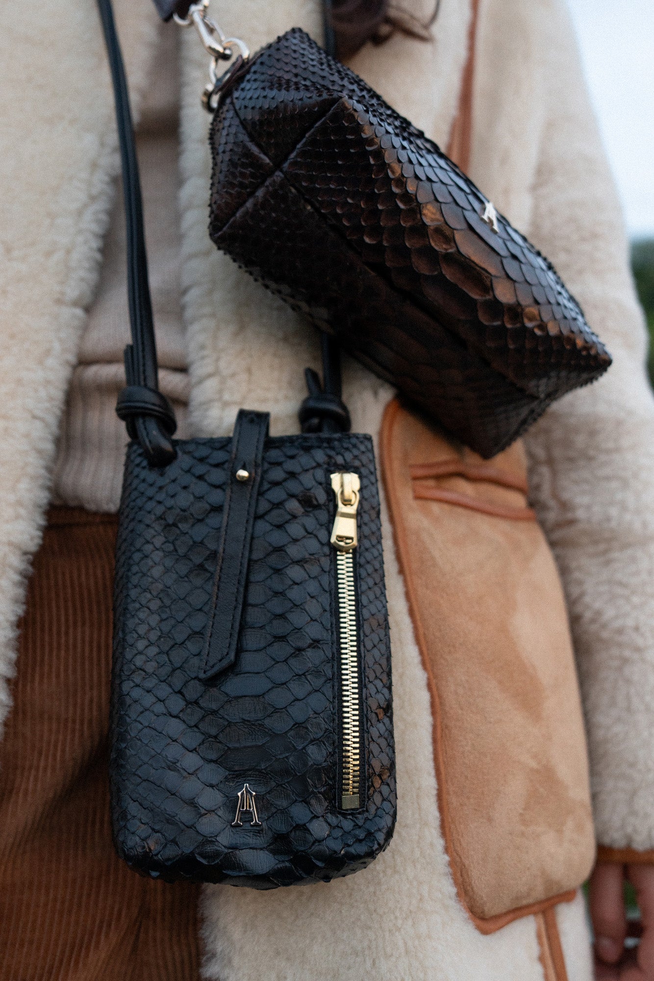 Les modèles en cuirs de Python